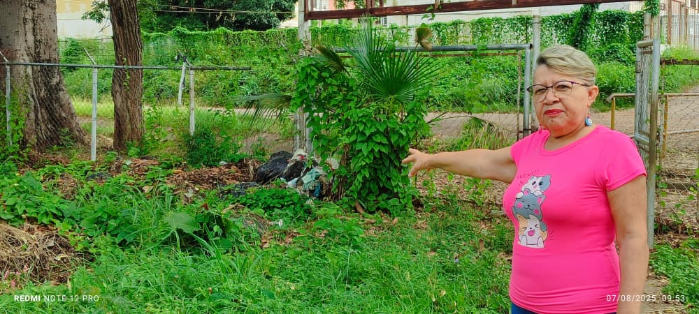 El monte invade calle y parque en sector La Coca cola en Valle de La Pascua